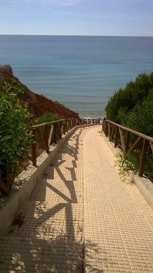 Apartamento Mandarin Playamarina II Orihuela Zewnętrze zdjęcie